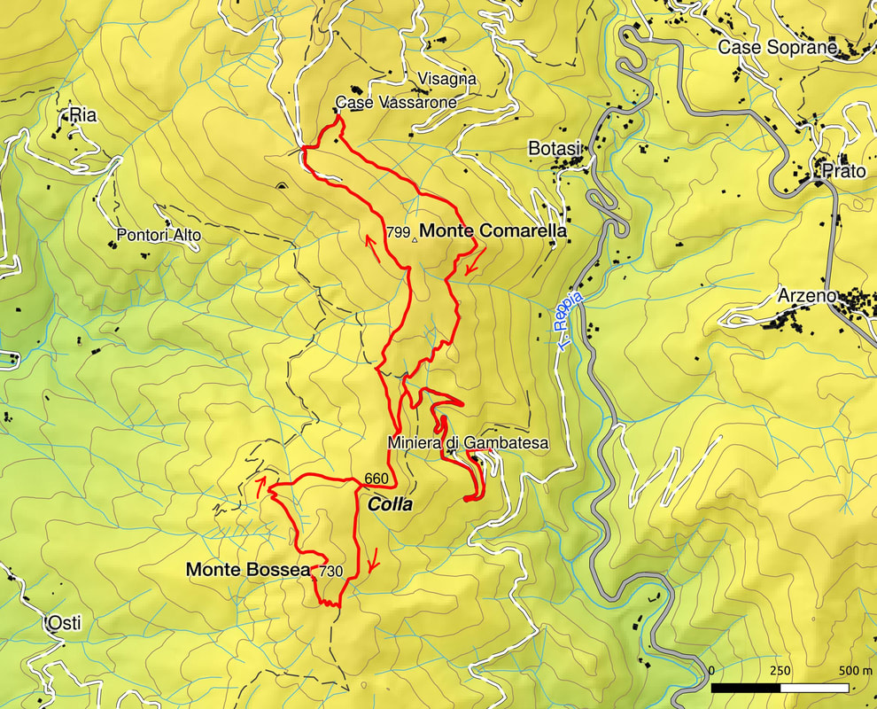 gambatesa bossea orig