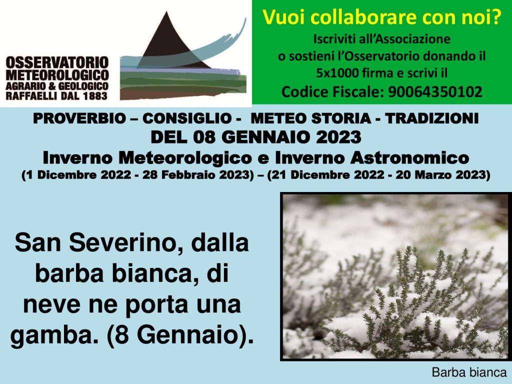 Proverbio del 08 Gennaio 2023