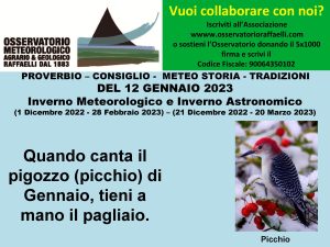 Proverbio del 12 Gennaio 2023