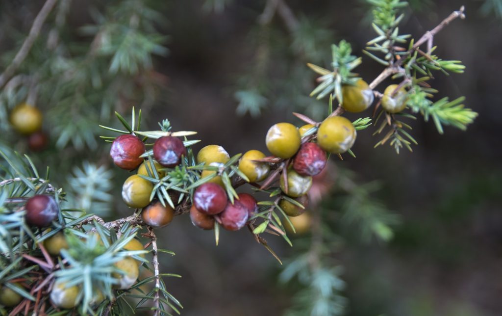 406068291 7151754251511977 6257078052822341126 n