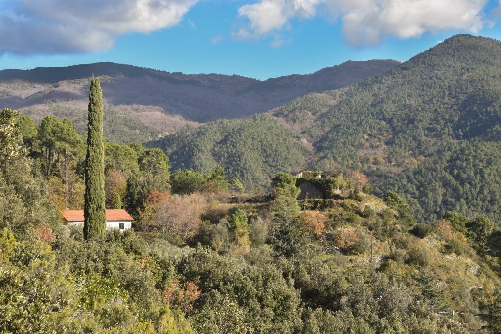 406551735 7151757361511666 2846712233117607337 n