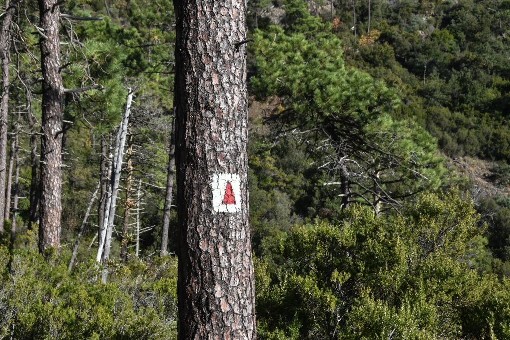 406573089 7151757111511691 6310795961120465074 n